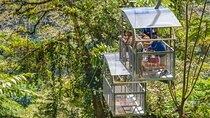 Veragua Rainforest Walk, Tram & Tortuguero Boat Tour. Limon Shore Excursion