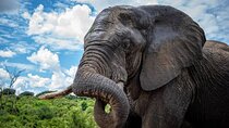 Chobe Full Day Trip