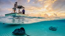 Cozumel El Cielo Tour! Palancar & Colombia Reef from Cancun