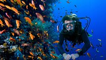 2 Tank Dive in Cozumel