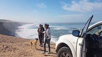 Mini Sahara Private Jeep Tour with Lunch