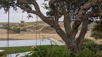Private Santa Ynez Valley Wine Tasting Tour for up to 4 guests