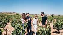 Segovia and Ribera del Duero Winery with Wine Tasting from Madrid