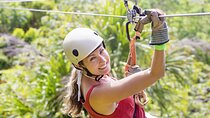 Veragua Zipline & Tortuguero Canal Boat Tour. Puerto Limon Shore Excursion