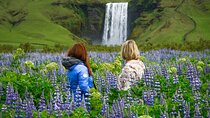 Full-Day South Coast Tour & Glacier Hike - with Photo Package