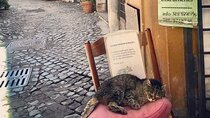 Private Guided Half-Day City Walking Tour in Florence