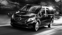 VIP VAN driver Transfer to Disneyland Paris