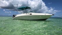 Private Half-Day Charter to Stingray City, Starfish Point and Snorkeling Tour