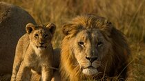 15-Day All Inclusive Sibuya Wilderness Guided Tour