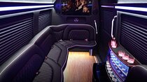 14 Passenger Luxury Sprinter Party Bus Ft Lauderdale 3 hour 
