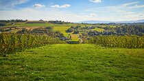 Wieliczka Vineyard: Wine tasting with local snacks