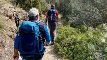 Private 3-Hour Hiking in Mount Ymittos