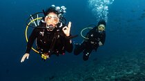 Full-Day Discover Scuba Diving Tour for Beginners in Tulamben