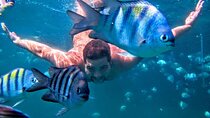 Boat Tour in Arraial do Cabo with Lunch