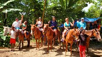  Full-Day Tour to Blue Hole Falls with Horseback Ride from Montego Bay