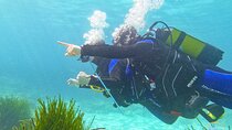 Mallorca PRIVATE Reservation*Scuba dive + photo/video