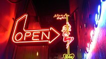 Private Amsterdam Red Light District tour including sex museum 