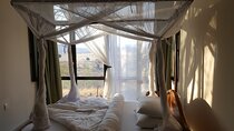 5 Days/4Nights Safari to Mikumi and Ruaha Parks 