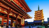 Private Tokyo Sightseeing Tour with English speaking Driver 