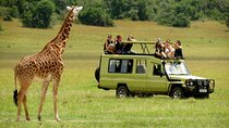 12 Days Tanzania and Kenya Migration Safari