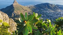 Hiking Table Mountain at sunrise Platteklip Gorge Morning Hike