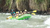 Full-Day Guided Adventure Tour in the Forest of San Ramón