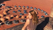 Private 7 Days Tour Amazing Jordan