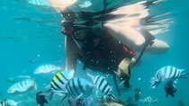 Bali Snorkeling at Blue Lagoon with Waterfall Include Lunch 
