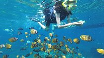 Snorkeling Manta Bay And West Penida Private Guided Tour 
