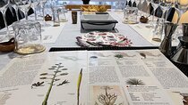 Mezcal & Tequila Tasting at Mexico City with full dinner 