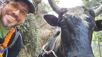 Everest Base Camp Trek: Jiri to Base Camp via the Tenzing-Hillary Route