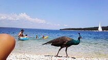 Stop on Island & National Park Day Cruise with Lunch Drinks