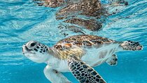 Bali Blue Lagoon Snorkeling with optional Tours and Activity