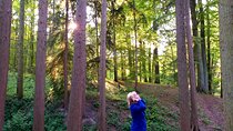 Shinrin Yoku in the Sonian Forest Belgium