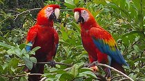 4-Day Private Tour to Manu National Park from Cusco