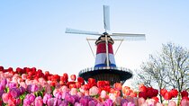 Private Tour to Delft and Leiden from Amsterdam
