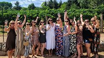  Voted Best in Sedona-Cheapest Private Wine Tour in town!