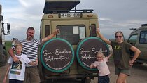 4 Day Great Migration Safari Serengeti & Ngorongoro Crater 