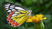 Full Day Wonders of Bali Group Tour with Pickup and Lunch