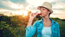 Private Tour: Napa and Sonoma Wine Country