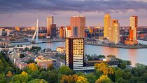 Private Tour to The Hague and Rotterdam from Amsterdam