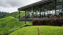 Cameron Highlands in a Day Tea Plantations, Farms & Scenic Views