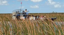 Everglades Airboat Adventure with Roundtrip Bayside Transfer