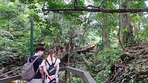 Full-Day Private Tour in Ubud with Rafting in Ayung River