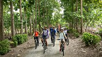 Chocolate Bike Tour/ Pedal, explore and taste!