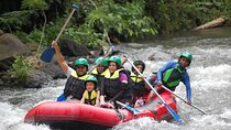 Daily Activity Adventure Ayung White Water Rafting 
