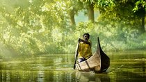 7 Days Cochin Munnar Thekkady Alleppey Houseboat Special
