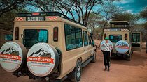 6 Days Tanzania Budget Camping Safari with Migration 