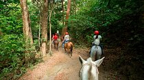 Buena Vista Mega Combo: Full Day With Private Guided Multi-Activities 8 in 1