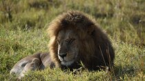 06 Days Kenya LuxuryLodge Safari